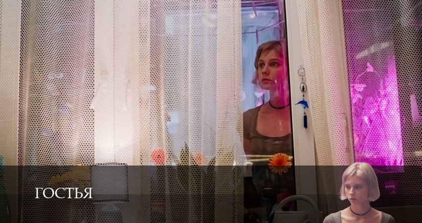 Превью Гостья