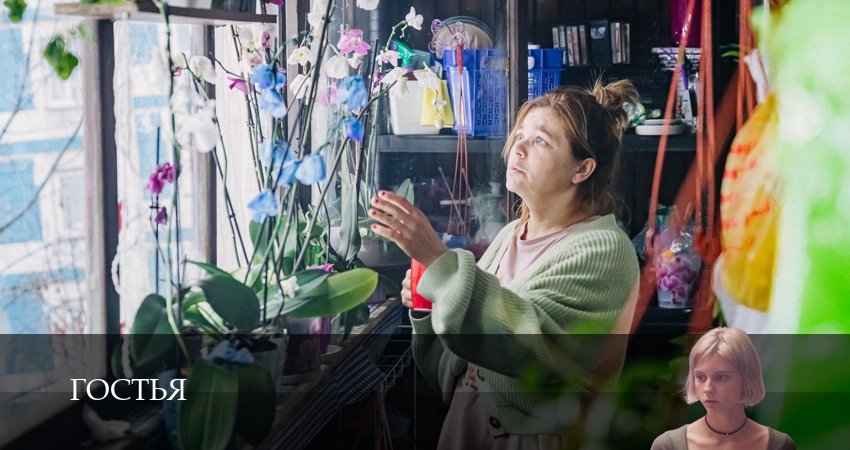 Превью Гостья