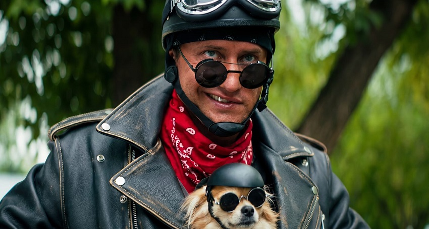 Превью Приключения желтого чемоданчика 2026