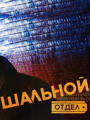 Постер Шальной отдел